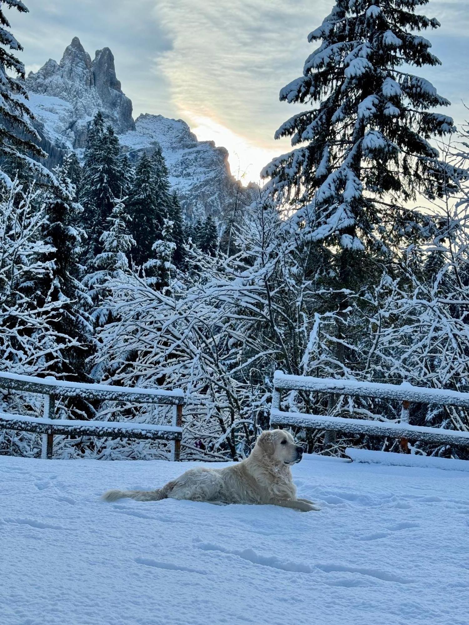 Hotel Europa San Martino Di Castrozza Luaran gambar